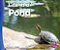 Life In A Pond-.. - Imagem 1