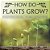 How Do Plants Grow? Botany Book For Kids Children's Botany Books-.. - Imagem 1