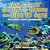 Tails That Go Up And Down And Side To Side Children's Fish & Marine Life-.. - Imagem 1