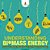 Understanding Biomass Energy - Importance Of Biofuels Biomass Energy For Kids Children's Ecology Books-.. - Imagem 1