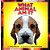 What Animal Am I?-.. - Imagem 1