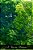 A Tuscan Penitent: The Life And Legend Of St. Margaret Of Cortona-.. - Imagem 1