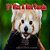 If I Was A Red Panda-.. - Imagem 1