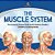 The Muscle System The Amazing Human Body And Its Systems Grade 4 Children's Anatomy Books-.. - Imagem 1
