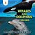 Whales And Dolphins For Kids: Oceans Of The World In Color-.. - Imagem 1