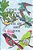 The A-B-c Bird Book: Part Of The A-B-c Science Series Identifying Birds From A-z In Rhyme. -.. - Imagem 1