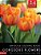 Gorgeous Flowers: Grayscale Coloring Books: Color Over The Gray To Bring Your Images Lifely With 24 Stunning Grayscale Images-.. - Imagem 1