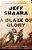 A Blaze Of Glory: A Novel Of The Battle Of Shiloh-.. - Imagem 1