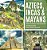Aztecs, Incas & Mayans Similarities And Differences Ancient Civilization Book Fourth Grade Social Studies Children's Geography & Cultures Books-.. - Imagem 1