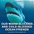 Our Warm Blooded And Cold-Blooded Ocean Friends Children's Fish & Marine Life-.. - Imagem 1