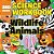 3RD Grade Science Workbooks: Wildlife Animals-.. - Imagem 1