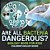Are All Bacteria Dangerous? Biology Book For Kids Children's Biology Books-.. - Imagem 1