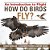 How Do Birds Fly? An Introduction To Flight - Science Book Age 7 Children's Science & Nature Books-.. - Imagem 1