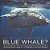 Have You Ever Seen A Blue Whale? Animal Book Age 4 Children's Animal Books-.. - Imagem 1