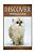 Persian Cats - Discover: Early Reader's Wildlife Photography Book-.. - Imagem 1
