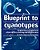 Blueprint To Cyanotypes: Exploring A Historical Alternative Photographic Process-.. - Imagem 1