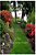 A Garden Of Happiness: 50 Poems Of Hope, Our Diaspora, Politics & The Next Chapter-.. - Imagem 1