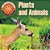 3RD Grade Science: Plants & Animals Textbook Edition-.. - Imagem 1