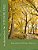 F Is For Fall: An Alphabet Book-.. - Imagem 1