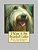 I Want A Pet Bearded Collie: Fun Learning Activities-.. - Imagem 1
