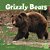 Grizzly Bears-.. - Imagem 1