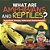 What Are Amphibians And Reptiles? Functions, Groups, Roles And Characteristics Grade 6-8 Life Science-.. - Imagem 1