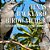 Texas Backyard Birdwatcher: A Field Guide To Feathered Friends-.. - Imagem 1