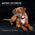 Waiting On Forever: Portraits Of Dogs Waiting For Their Forever Home-.. - Imagem 1