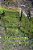 Mabinogion: "Cztery Galezie" Mabinogi-.. - Imagem 1