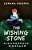 The Wishing Stone: Dangerous Dinosaur-.. - Imagem 1