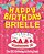 Happy Birthday Brielle - The Big Birthday Activity Book: (Personalized Children's Activity Book)-.. - Imagem 1