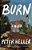 Burn-.. - Imagem 1