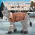 Walter's Winter Wonderland: A Walter The Orphaned Donkey Series-.. - Imagem 1