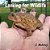 Looking For Wildlife With My Camera: Wildlife Facts And Nature Photos For Kids-.. - Imagem 1