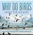 Why Do Birds Cross The Oceans? Animal Migration Facts For Kids Children's Animal Books-.. - Imagem 1