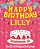 Happy Birthday Lilly - The Big Birthday Activity Book: (Personalized Children's Activity Book)-.. - Imagem 1