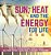 Sun, Heat And The Energy For Life Renewable And Non-Renewable Source Of Energy Self Taught Physics Science Grade 3 Children's Physics Books-.. - Imagem 1