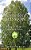 Creating Mission: Ten Decisions That Framed Birchwood School-.. - Imagem 1