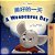 A Wonderful Day (Chinese English Bilingual Children's Book - Mandarin Simplified)-.. - Imagem 1