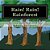 Rain! Rain! Rainforest: What Is A Rainforest?-.. - Imagem 1