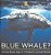 Have You Ever Seen A Blue Whale? Animal Book Age 4 Children's Animal Books-.. - Imagem 1