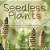 Seedless Plants Explained Importance Of Seedless Plants Nonvascular And Vascular Plants Grade 6-8 Life Science-.. - Imagem 1