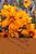 The Beautiful Stories Of The Great Seaport (2): Book 2-.. - Imagem 1