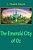 The Emerald City Of Oz-.. - Imagem 1