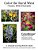 Color The Rural West - Flowers, Wild And Domestic: A Greyscale Coloring Book For Adults-.. - Imagem 1