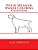Welsh Springer Spaniel Coloring Calendar-.. - Imagem 1