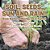 Soil, Seeds, Sun And Rain! How Nature Works On A Farm! Farming For Kids - Children's Agriculture Books-.. - Imagem 1