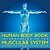 Human Body Book Introduction To The Muscular System Children's Anatomy & Physiology Edition-.. - Imagem 1