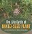 The Life Cycle Of Naked-Seed Plant Life Cycle Books Grade 5 Children's Biology Books-.. - Imagem 1