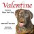 Valentine Becomes A New York Dog-.. - Imagem 1